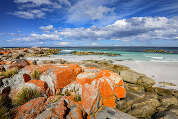 Beautiful sunny summer coast view from Bay Of Fires to blue Tasman Sea with crystal clear water...