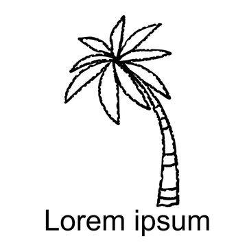 Coconut palm tree, icon, logo