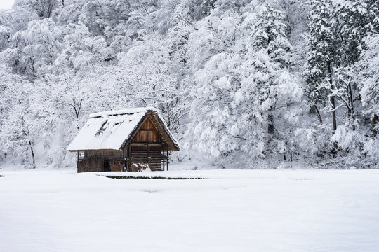 picture of ancient houses and snow is heavy at Shirakawa-go village at Gifu, Japan.