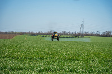 Fototapeta na wymiar Tractor spraying wheat field.