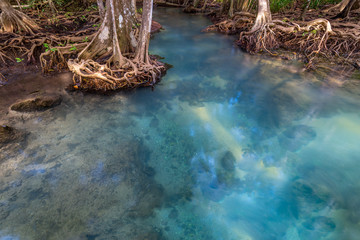 Amazing crystal clear emerald canal with mangrove forest , Krabi province, Thailand