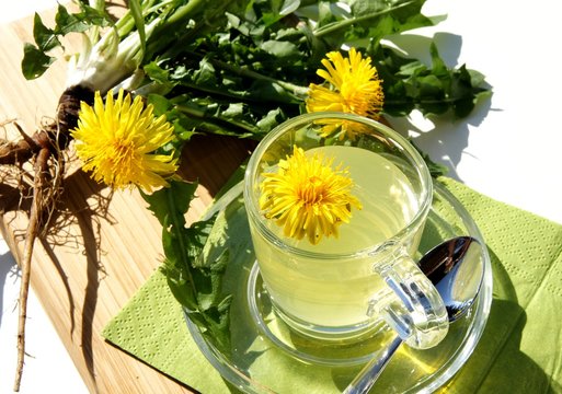 L&ouml;wenzahn Tee mit Bl&uuml;ten, Heilpflanze