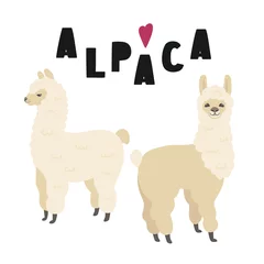 Foto auf Alu-Dibond Two cute alpacas illustration with lettering, isolated on white background. Vector clipart. © Viktoriia