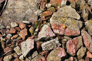 Crushed bricks with yellow moss, spring bright sun light, grunge horizontal background texture detail