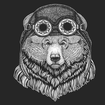 Grizzly bear Big wild bear Hand drawn image for tattoo, t-shirt, emblem, badge, logo, patch Cool animal wearing aviator, motorcycle, biker helmet.
