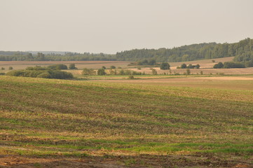 Obraz premium Góra Dylewska