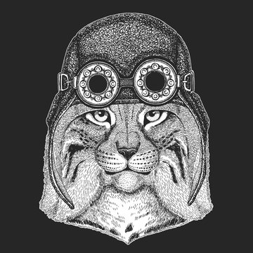 Wild cat Lynx Bobcat Trot Hand drawn image for tattoo, emblem, badge, logo, patch Cool animal wearing aviator, motorcycle, biker helmet.