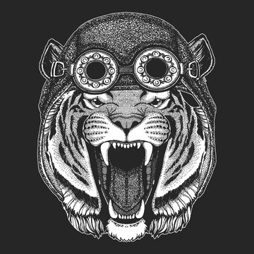 Wild tiger Hand drawn image for tattoo, emblem, badge, logo, patch, t-shirt Cool animal wearing aviator, motorcycle, biker helmet.
