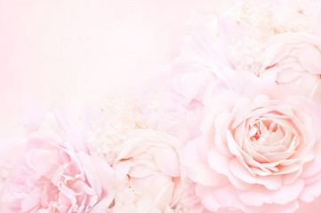 Sommerblühender zarter Rosenrahmen, blühende Rosenblumen festlicher Hintergrund, Pastell- und weiche Blumenkarte, selektiver Fokus, getönt