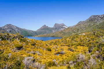 Wall murals Cradle Mountain Pretty view to great deep blue mountain lake and green orange shore jungle forest bush land on warm sunny clear sky hiking wilderness day, Dove Lake, Cradle Mountain National Park, Tasmania, Australia