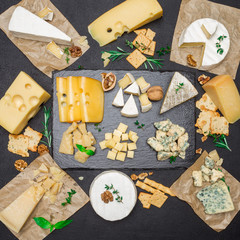 various types of cheese - brie, camembert, roquefort and cheddar on concrete