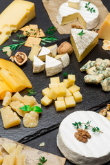 various types of cheese - brie, camembert, roquefort and cheddar on concrete