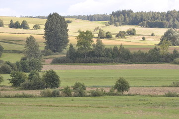 Widok z Góry Dylewskiej