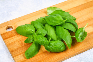 Green fresh home basil, spicy herb on a cutting board with a knife on a gray concrete table.