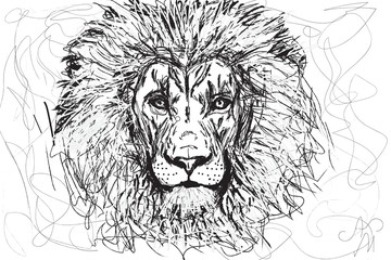 Obraz premium lion