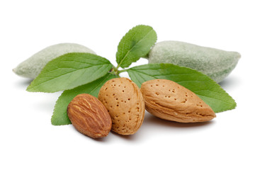 Almond