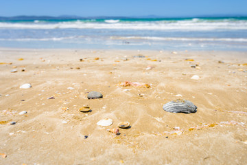 Beautyful view to small paradise like sandy waves beach with turquoise blue water and shore mussels coast stripes mountains on warm sunny clear sky day, Seven Miles Beach, Hobart, Tasmania, Australia