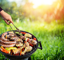 Picnic In Countryside - Barbecue Grill With Vegetable And Meat  