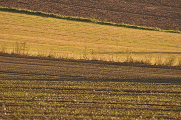 Fototapeta premium Dylewska Góra