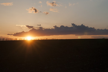 Obraz premium road to a sunset