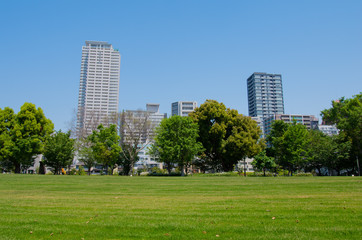 Obraz premium 都会のオアシス
