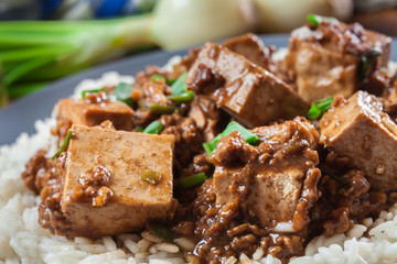Mapo Tofu - sichuan spicy dish served with rice