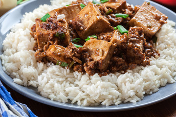 Mapo Tofu - sichuan spicy dish served with rice