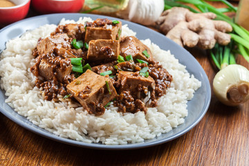 Mapo Tofu - sichuan spicy dish served with rice