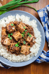 Mapo Tofu - sichuan spicy dish served with rice