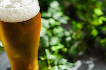 テラスでビール