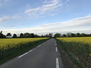 Le chemin au printemms