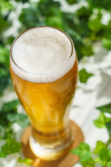 テラスでビール