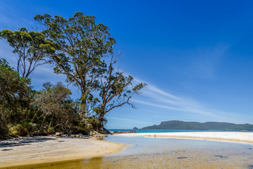Amazing view to great paradise island sandy beach with turquoise blue water and green shore jungle forest on warm sunny clear sky relaxing day, River Adventure Bay, Bruny Island, Tasmania, Australia