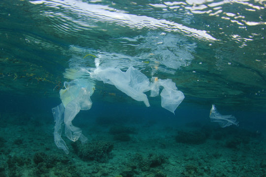 Plastic pollution in ocean   