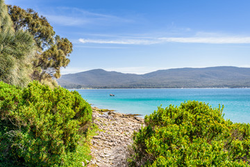 Amazing view to great paradise island sandy beach with turquoise blue water and green shore jungle forest on warm sunny clear sky relaxing day, Fluted Cape Track Bay, Bruny Island, Tasmania, Australia