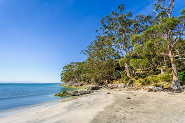 Fototapeta na wymiar Amazing view to great paradise island sandy beach with turquoise blue water and green shore jungle forest on warm sunny clear sky relaxing day, Fluted Cape Track Bay, Bruny Island, Tasmania, Australia