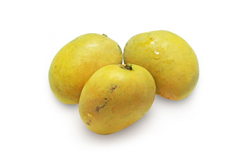 Mango (isolated on white and clipping path)