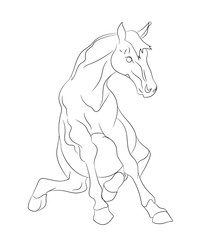 horse sits vector lines