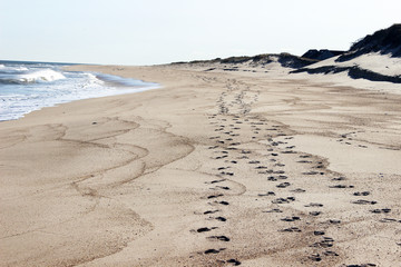 Footprints left in sand at isolated sandy coastal ocean beach 