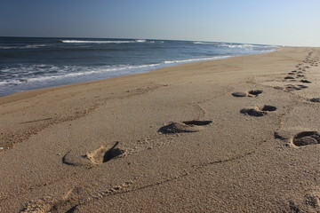 Footprints left in sand at isolated sandy coastal ocean beach 