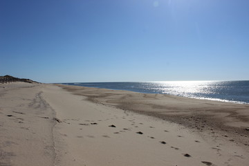 Footprints left in sand at isolated sandy coastal ocean beach 