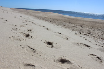 Footprints left in sand at isolated sandy coastal ocean beach 
