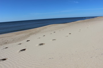 Footprints left in sand at isolated sandy coastal ocean beach 