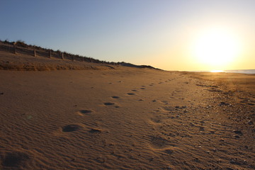 Fototapeta na wymiar Footprints left in sand at isolated sandy coastal ocean beach 