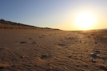 Footprints left in sand at isolated sandy coastal ocean beach 