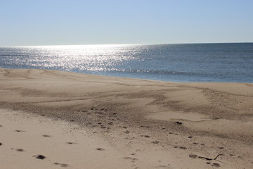 Footprints left in sand at isolated sandy coastal ocean beach 