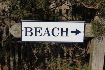 Sandy coastal beach dunes surrounded by fence and beach grass 