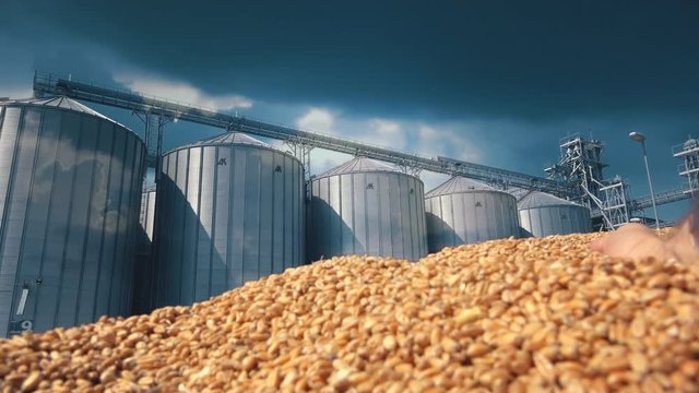 Wheat silo storage 