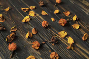 petals of dried flowers on wooden background