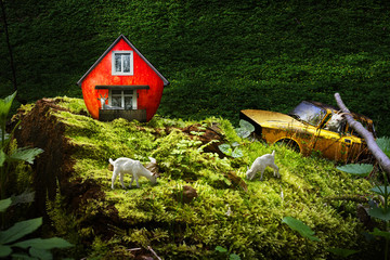 Children's story about the life of goats in the forest